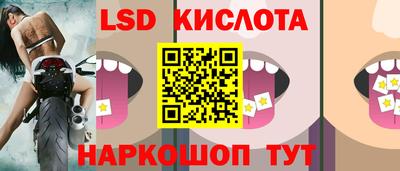 Альфа ПВП Кандалакша