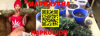 Альфа ПВП Кандалакша