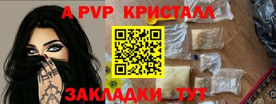 Альфа ПВП Кандалакша