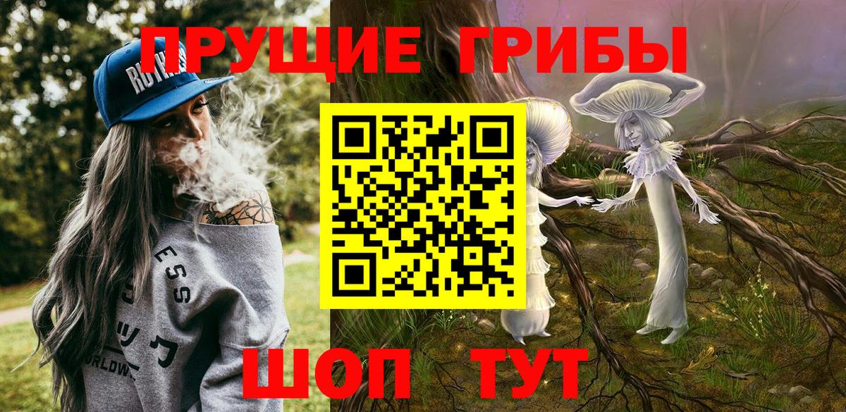 Псилоцибиновые грибы GOLDEN TEACHER Луховицы