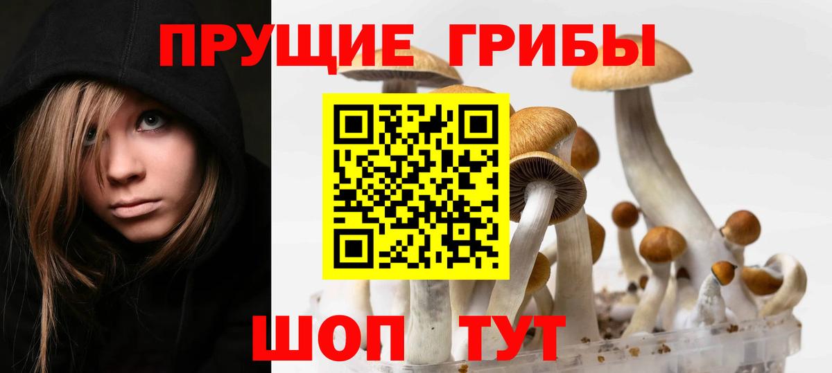 Луховицы  Галлюциногенные грибы GOLDEN TEACHER  Вход с VPN  Псилоцибиновые грибы мицелий 